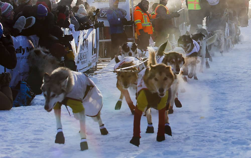 Two-time defending champion Allen Moore of Two Rivers, Alaska is the first one out of the chute during the start of the Yukon Quest International Sled Dog Race at Shipyards Park on Saturday, Feb. 7, 2015 in Whitehorse, Yukon. 