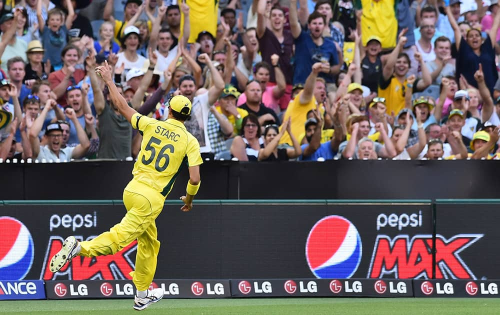 Australia's Mitchell Starc runs past the crowd with his finger up high after catching out England's Ian Bell during their Cricket World Cup pool A match in Melbourne, Australia.