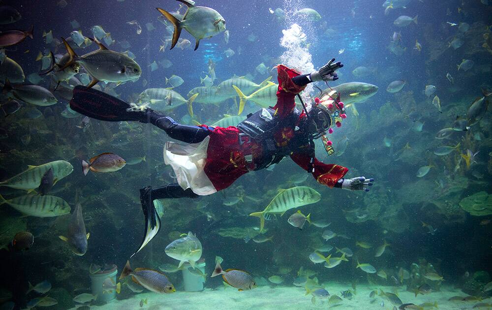 A diver dressed in Fortune God costume waves to visitors after he feeds fish as part of upcoming Chinese Lunar New Year celebrations at Aquaria KLCC underwater park in Kuala Lumpur, Malaysia.