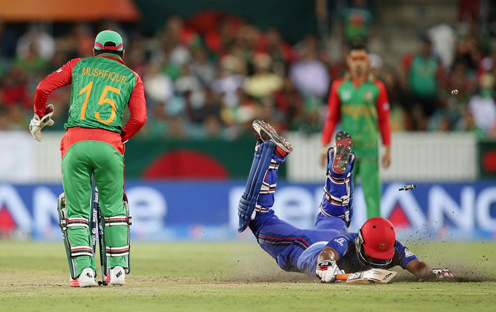 Afghanistan’s Samiullah Shenwari dives as he unsuccessfully attempts to make his ground after he was run out by Bangladesh’s wicketkeeper Mushfiqur Rahim during their Cricket World Cup Pool A match in Canberra, Australia.