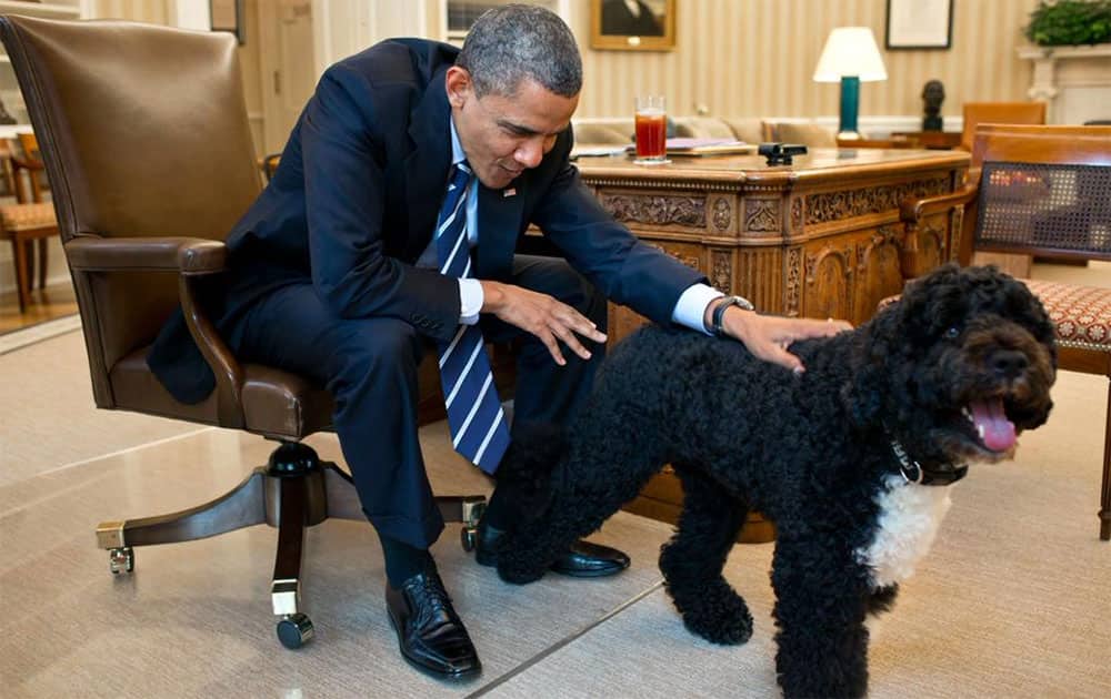 Every day is #LoveYourPetDay. - twitter @BarackObama