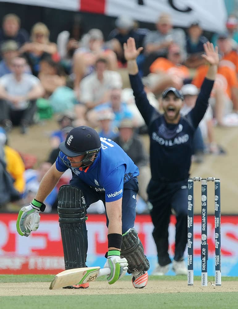 England's Ian Bell stumbles while batting during their Cricket World Cup match against Scotland in Christchurch, New Zealand.