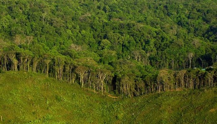 &#039;Biggest deforester&#039; of Amazon jungle arrested in Brazil