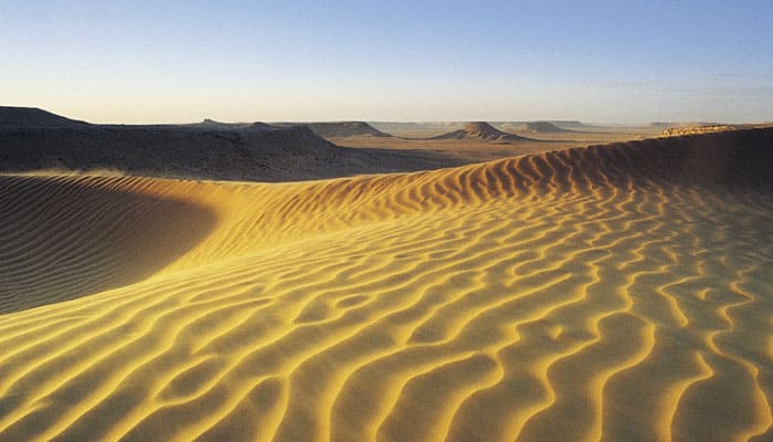 Saharan dust feeding Amazon&#039;s plants, reveals NASA