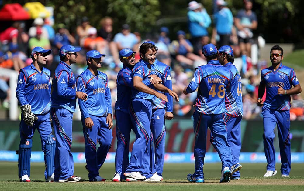 Afghanistan players celebrate after dismissing Scotland's Preston Mommsen during their Cricket World Cup Pool A match in Dunedin, New Zealand.