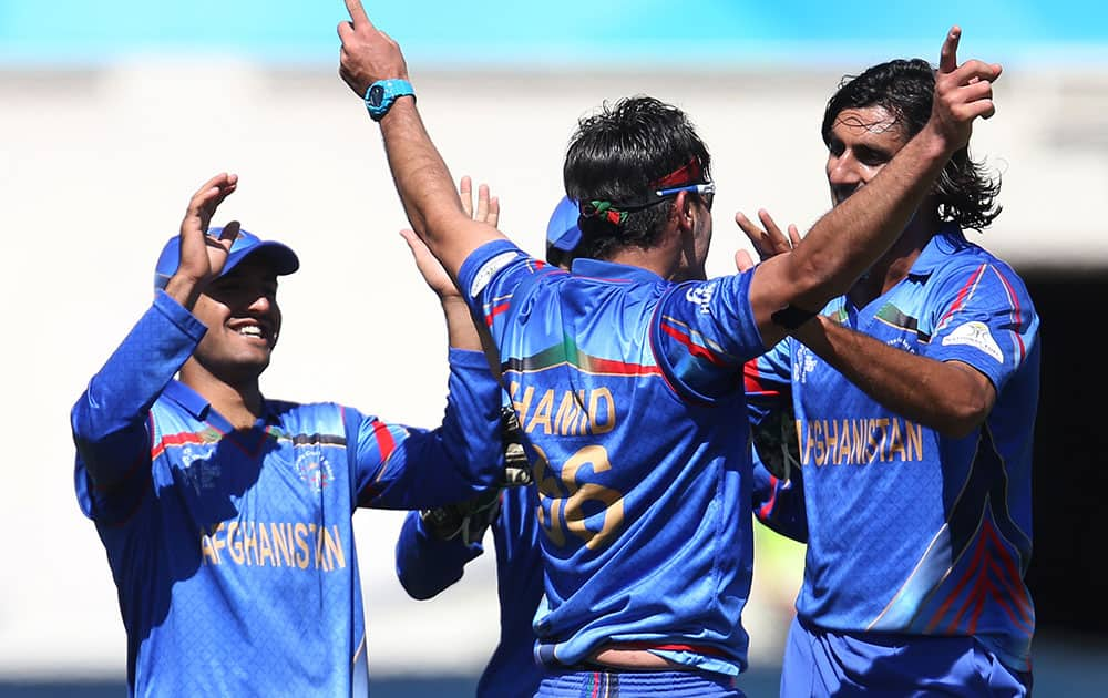 Afghanistan’s Hamid Hassan is congratulated by teammates reacts after taking a catch to dismiss Scotland's Josh Davey during their Cricket World Cup Pool A match in Dunedin, New Zealand.