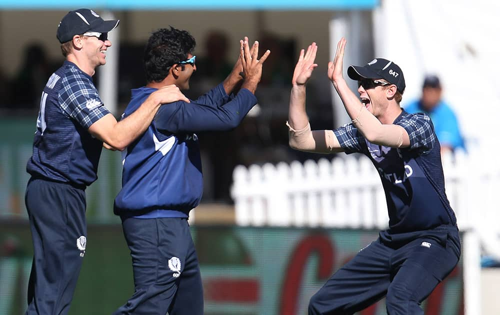 Scotland's Majid Haq, is congratulated by teammate's Richie Berrington and Ali Evans after taking catch to dismiss Afghanistan’s Gulbadin Naib during their Cricket World Cup Pool A match in Dunedin, New Zealand.