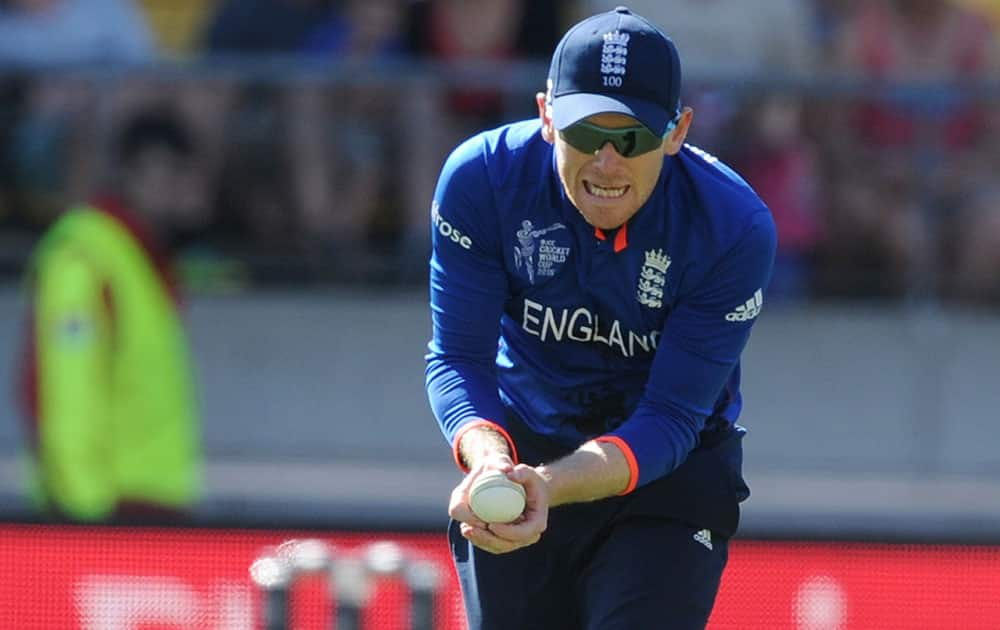 England’s captain Eoin Morgan takes a catch to dismiss Sri Lanka's Tillakaratne Dilshan during their Cricket World Cup match in Wellington, New Zealand,.