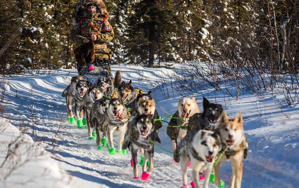 Rick Casillo mushes into Manley Hot Springs, Alaska, during the Iditarod Trail Sled Dog Race.