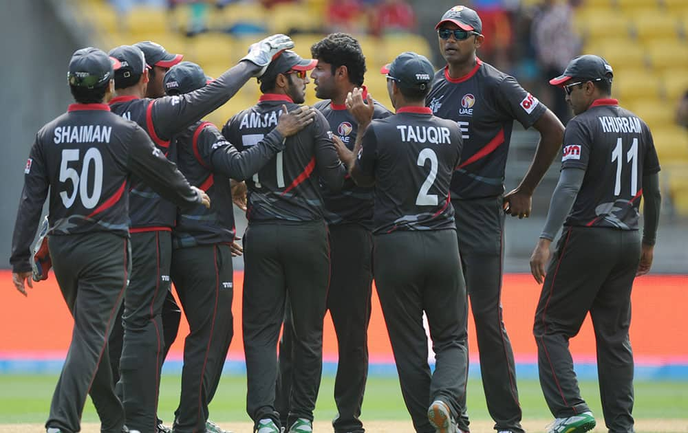 United Arab Emirates Muhammad celebrate after the dismissal of South African batsman Hashim Amla during their Cricket World Cup Pool B match in Wellington, New Zealand.