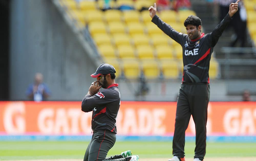 United Arab Emirates Muhammad Naveed kneels and kisses the ball after taking a catch to dismiss South African batsman Hashim Amla during their Cricket World Cup Pool B match in Wellington, New Zealand.