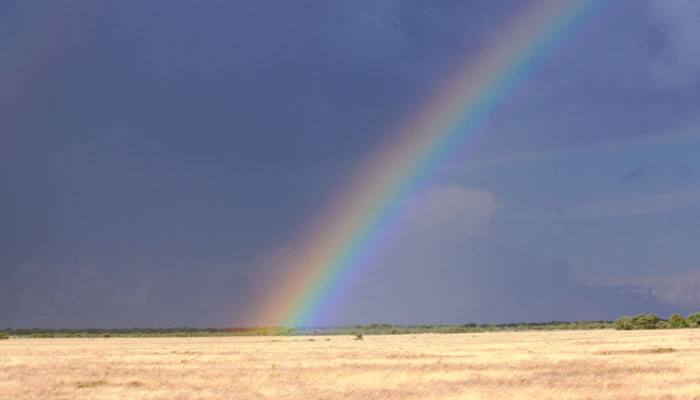 Weakening of summer storm intensifies heat extremes