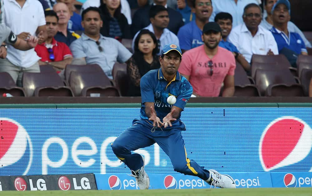 Sri Lanka's Nuwan Kulasekera takes a catch to dismiss South Africa's Hashim Amla during their Cricket World Cup quarterfinal match in Sydney, Australia.