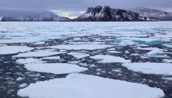 Arctic Meltdown by Geza Tatrallyay