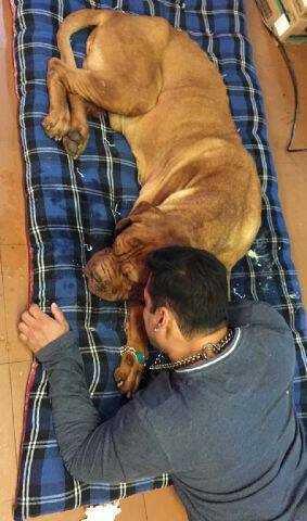 An emotional Salman with his pet Veer
Pic Courtesy: Twitter@BeingSalmanKhan