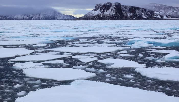 Arctic sea ice hits record low: US officials