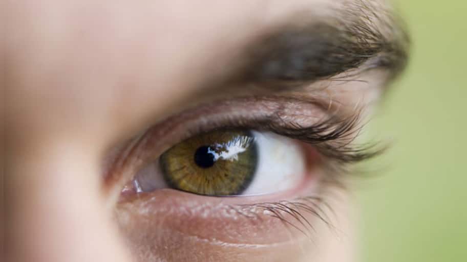 Our eyes 'see' what they want