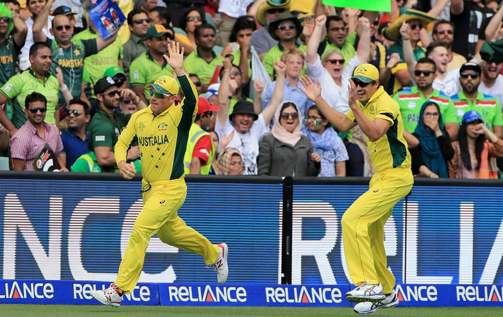 Australia's Aaron Finch, celebrates with teammate Mitchell Starc after taking a catch to dismiss Pakistan's captain Misbah Ul Haq during their Cricket World Cup quarterfinal match in Adelaide, Australia.