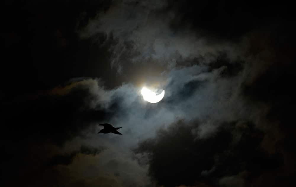 The moon blocks part of the sun as a bird flys past during a solar eclipse as seen in Barcelona, Spain.