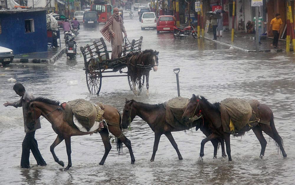 A man with his horses wade through a waterlogged street after the city received heavy rainfall, in Jammu.