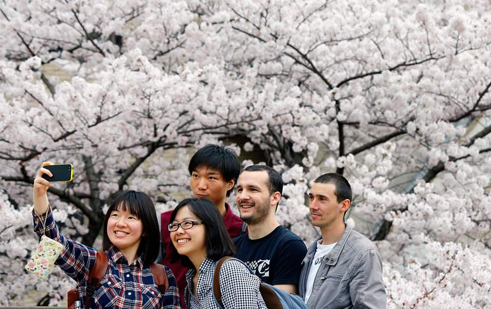 People take a photo in front of blooming cherry blossoms in Tokyo.