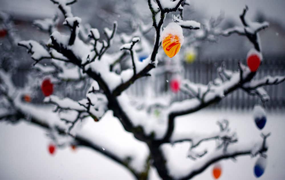 Snow covers Easter eggs on a tree in Wernigerode, eastern Germany.