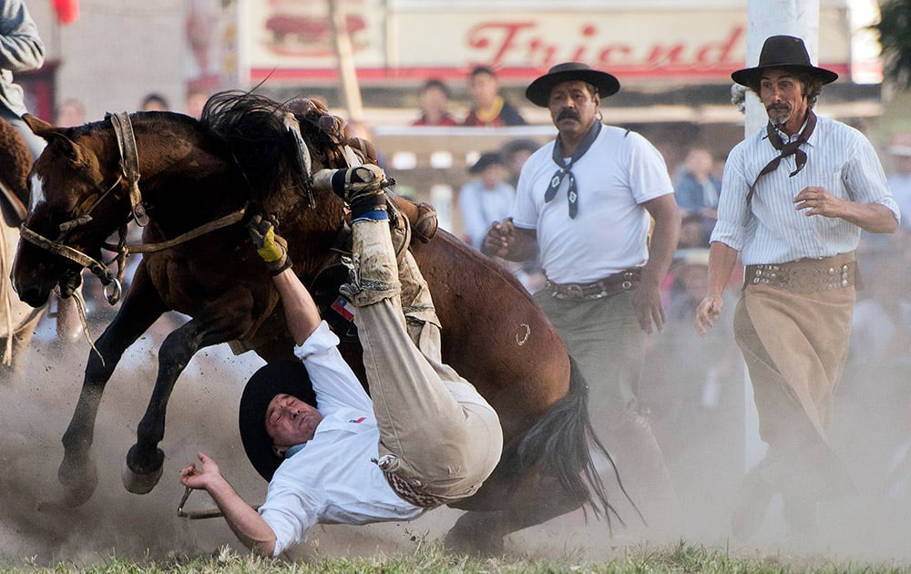 A South American cowboy known as a gaucho falls off a bucking wild horse during the Criolla del Prado rodeo in Montevideo, Uruguay. 