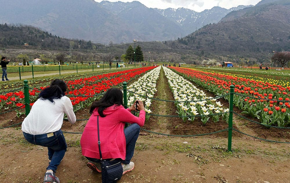 Girls click pictures in the Asias largest Tulip garden on the foot hills of Zabarwan in Srinagar.