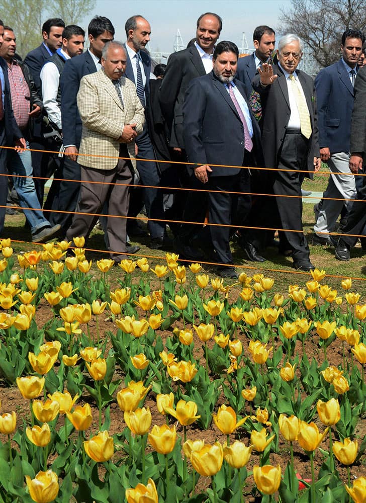 Jammu and Kashmir Chief Minister Mufti Mohammad Sayeed takes a round of Asias largest Tulip garden after it was opened for public viewing in Srinagar.