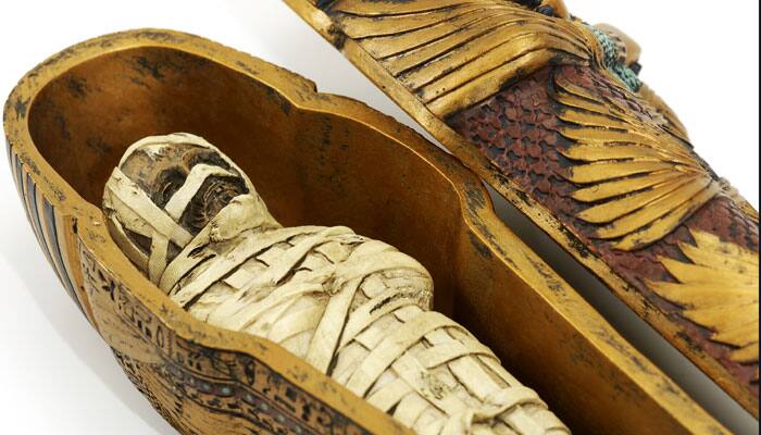 Mummies reveal how TB ravaged 18th century Europe