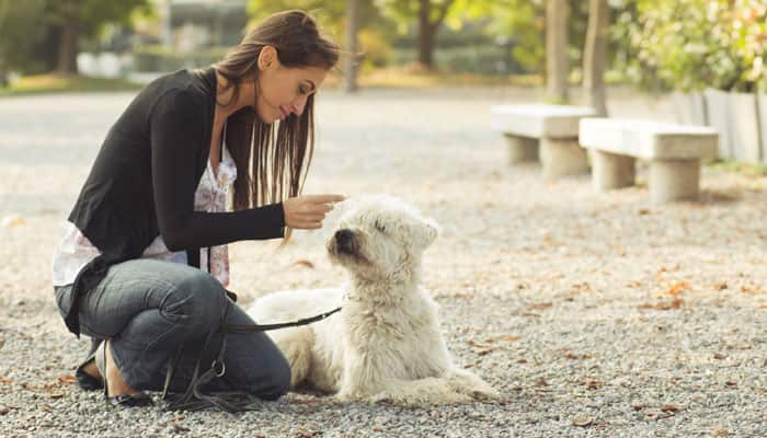 Eye contact helped dogs become our friends