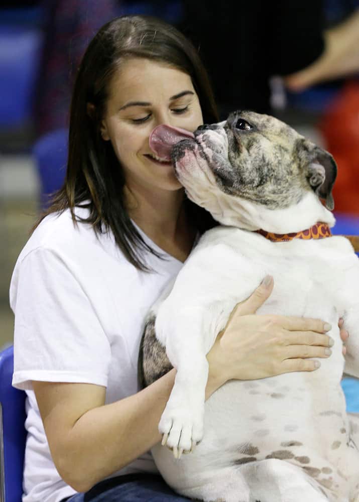 Raine Mollenbeck, of Johnston, Iowa, gets a kiss from her dog Kimber during the 36th annual Drake Relays Beautiful Bulldog Contest, in Des Moines, Iowa.