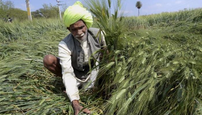 Rs 563 crore relief fund distributed among rain-hit farmers in UP