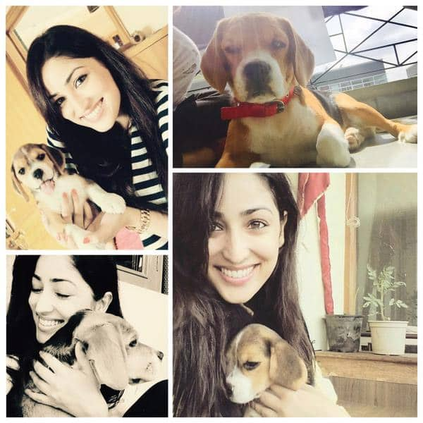 Missing Polo :( Can't wait to welcome him home in Mumbai soon :( twitter@yamigautam