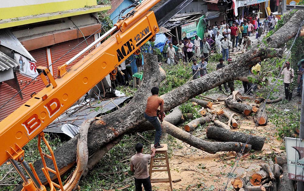 A fallen tree is cleared from a residential area following the Tuesday nights cyclonic storm at Gangarampur in South Dinajpur district of West Bengal.