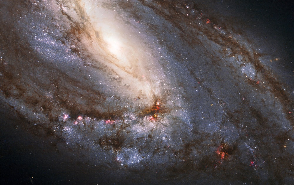 This image made by the NASA/ESA Hubble Space Telescope shows M66, the largest of the Leo Triplet galaxies. It has asymmetric spiral arms and an apparently displaced core most likely caused by the gravitational pull of the other two members of the trio. The Hubble Space Telescope marks its 25th anniversary.