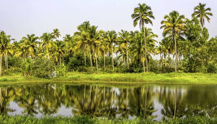 Kerala to promote tourist hotspots through movies