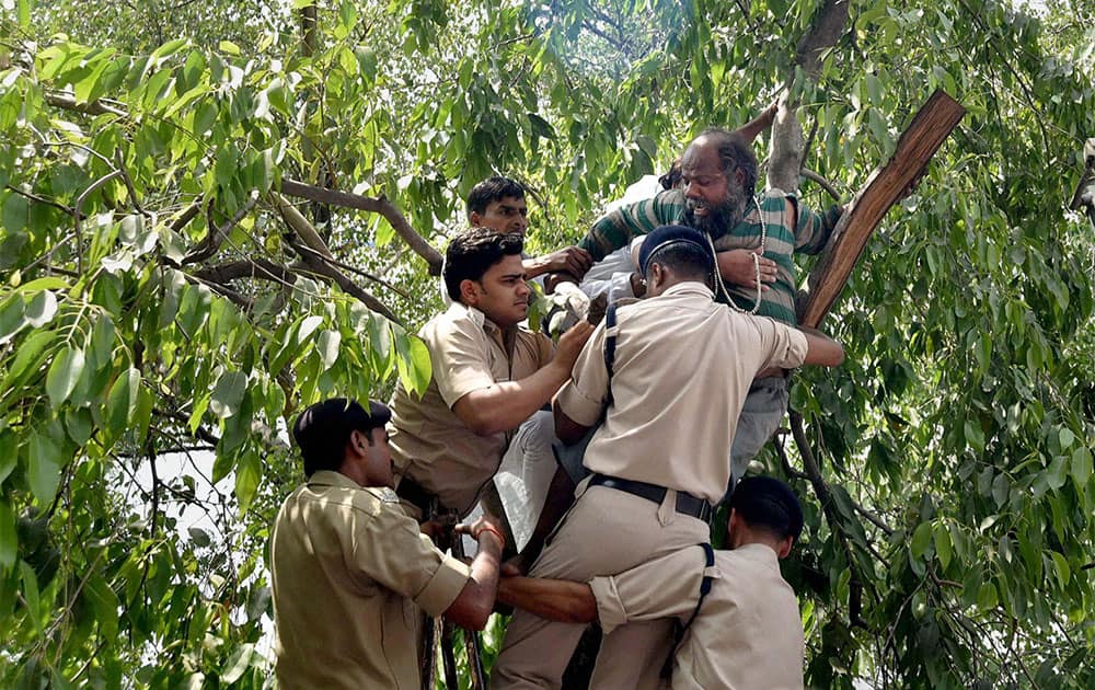 Police trying to bring down a person who climbed a tree during a protest by Youth Congress workers at Sansad Marg in New Delhi.