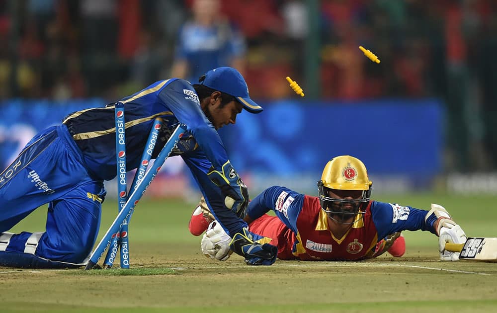 Royal Challengers Bangalore Dinesh Karthick (R) dives as RRs wicketkeeper Sanju Samson runs out him during IPL match against Rajasthan Royals in Bengaluru.