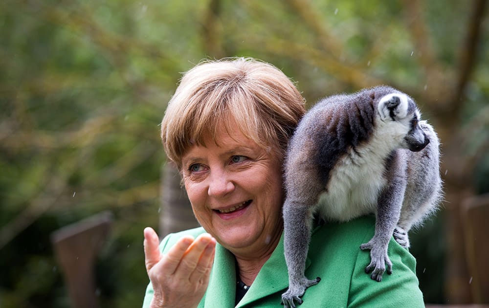 German Chancellor Angela Merkel feeds a lemur that sits on her shoulder during her visit at the bird park in Marlow, northeastern Germany. Merkel is scheduled to open the enclosure for penguins in the bird park. 