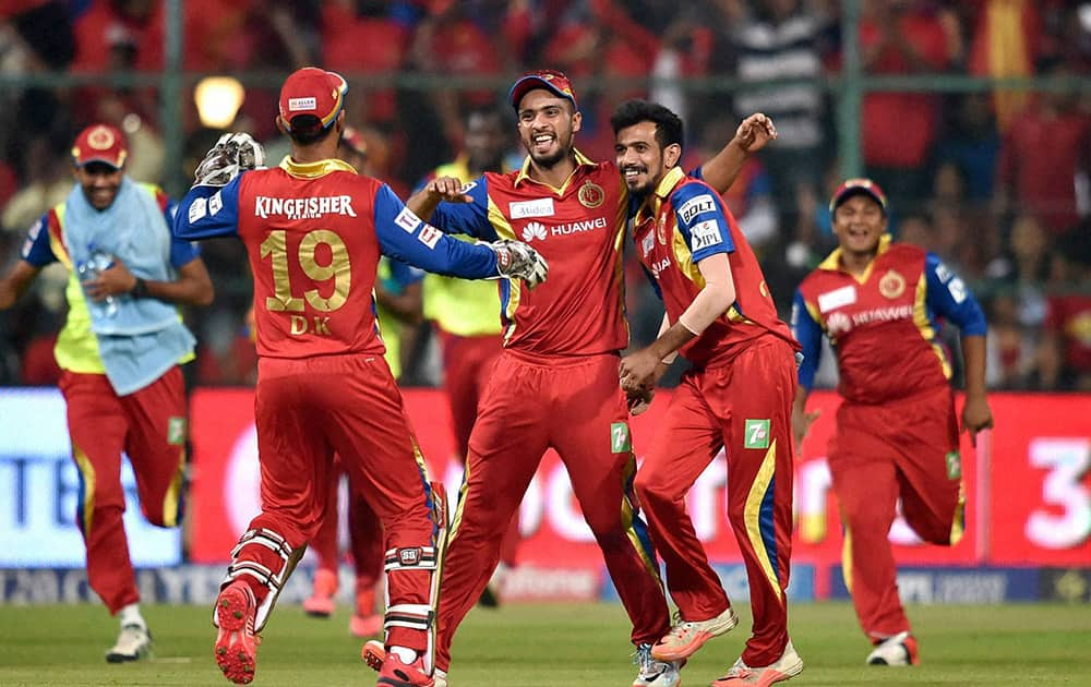 RCB players celebrate the wicket of Gautam Gambhir during IPL 8 match against Kolkata Knight Riders in Bengaluru.