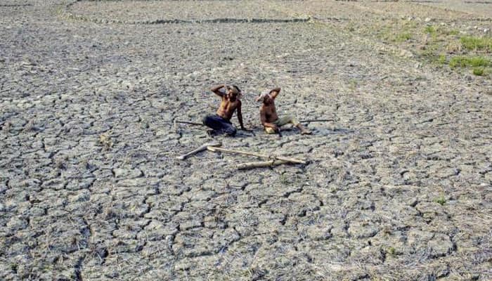 Maharashtra lowers calamity-hit crop loss percentage to 33 percent