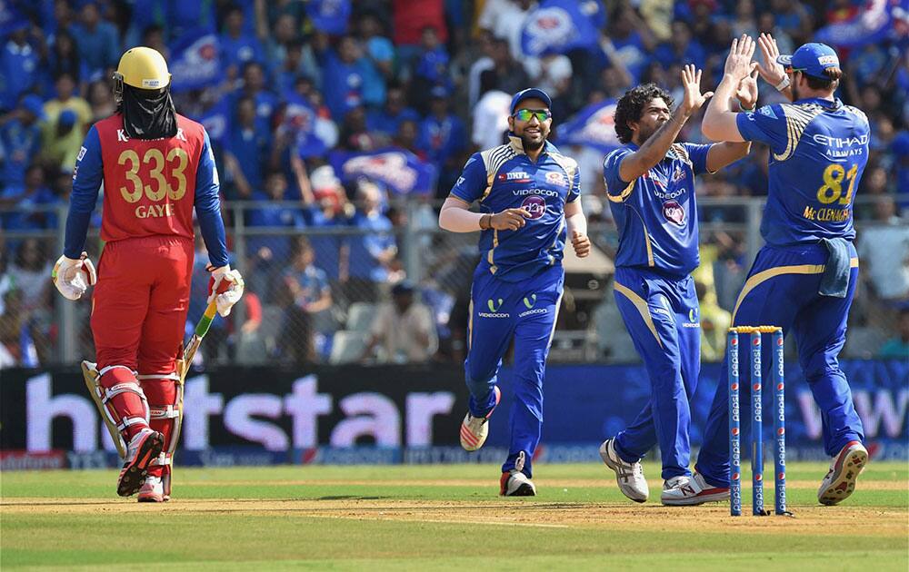 Mumbai Indians bowler Malinga celebrates a wicket of Royal Challengers Bangalore batsman Chris Gayle during an IPL T20 match played in Mumbai.
