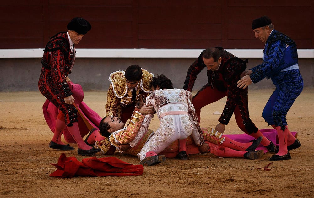Spanish bullfighters gather around their fellow bullfighter Ivan Fandino lying on the arena after being tossed by a Parlade's ranch fighting bull during a bullfight of the San Isidro Fair in Madrid, Spain.