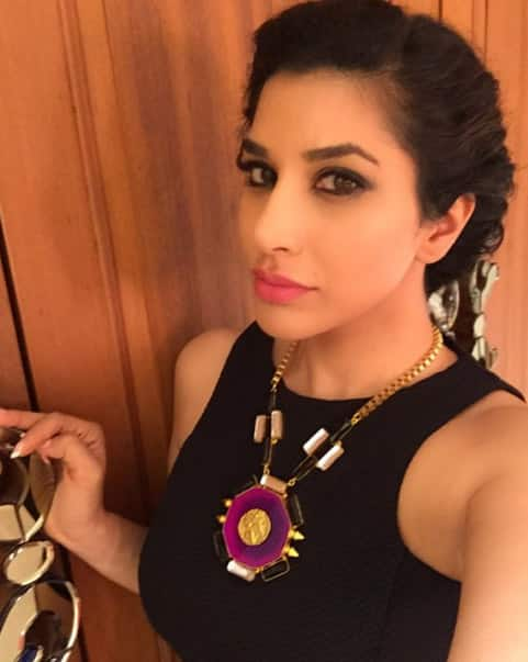 #AboutLastNight #LateNight #Selfie #Nofilter #Necklace #Jewellery Tku @rahejavarun @minerali_store #braidedhair #darkeyes - Instagram@sophiechoudry