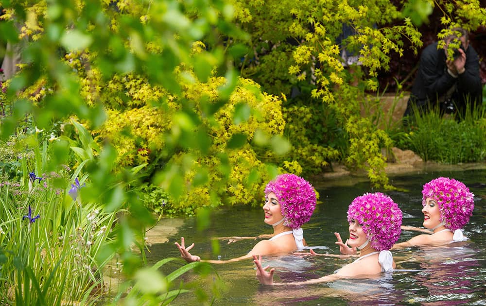 Synchronised swimmers perform in a pond at the M&G Retreat garden, at the Chelsea Flower Show, in London.