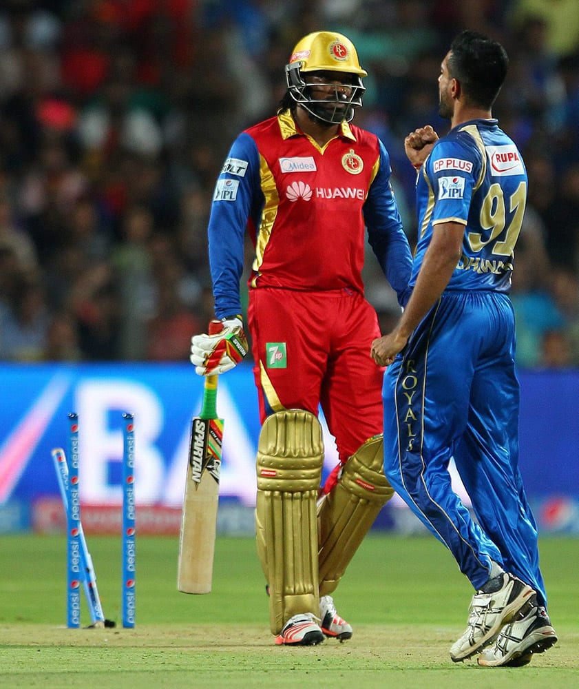 hawal Kulkarni of the Rajasthan Royals celebrates the wicket of Chris Gayle of the Royal Challengers Bangalore during the eliminator match of IPL in Pune.