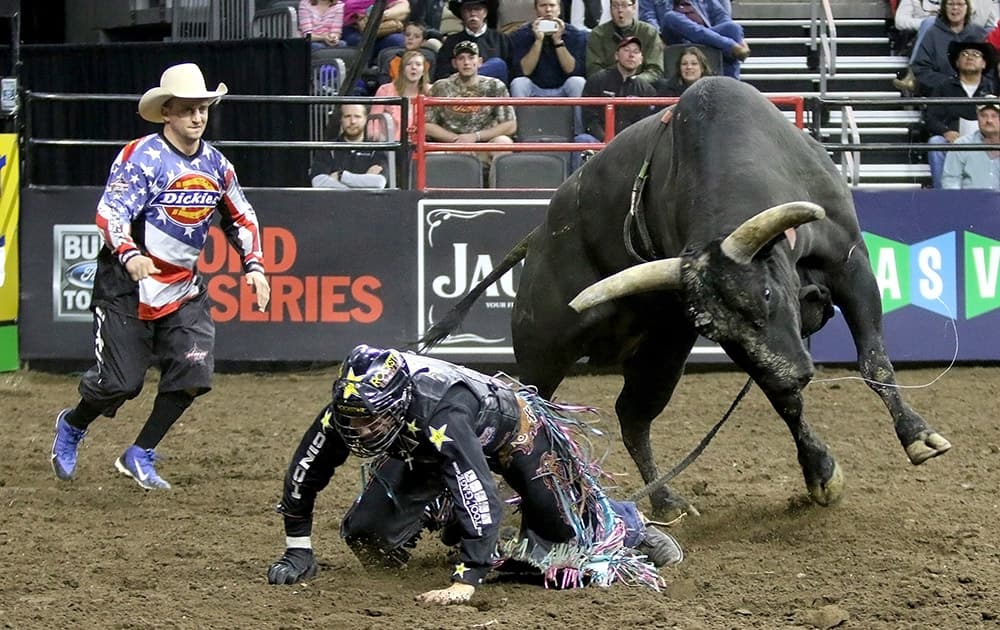 Shane Proctor scrambles to his feet after losing control during the Professional Bull Riding Tour stop at the Denny Sanford Premier Center, in Sioux Falls, S.D. Serious injuries are occupational hazards for bull riders, 