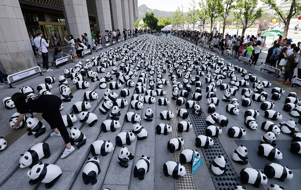 A volunteer arranges paper pandas, created by French artist Paulo Grangeon, during the month-long 