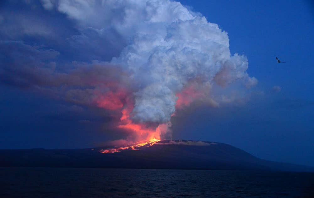 Wolf volcano erupting, at Isabela Island, Galapagos Islands, Ecuador.